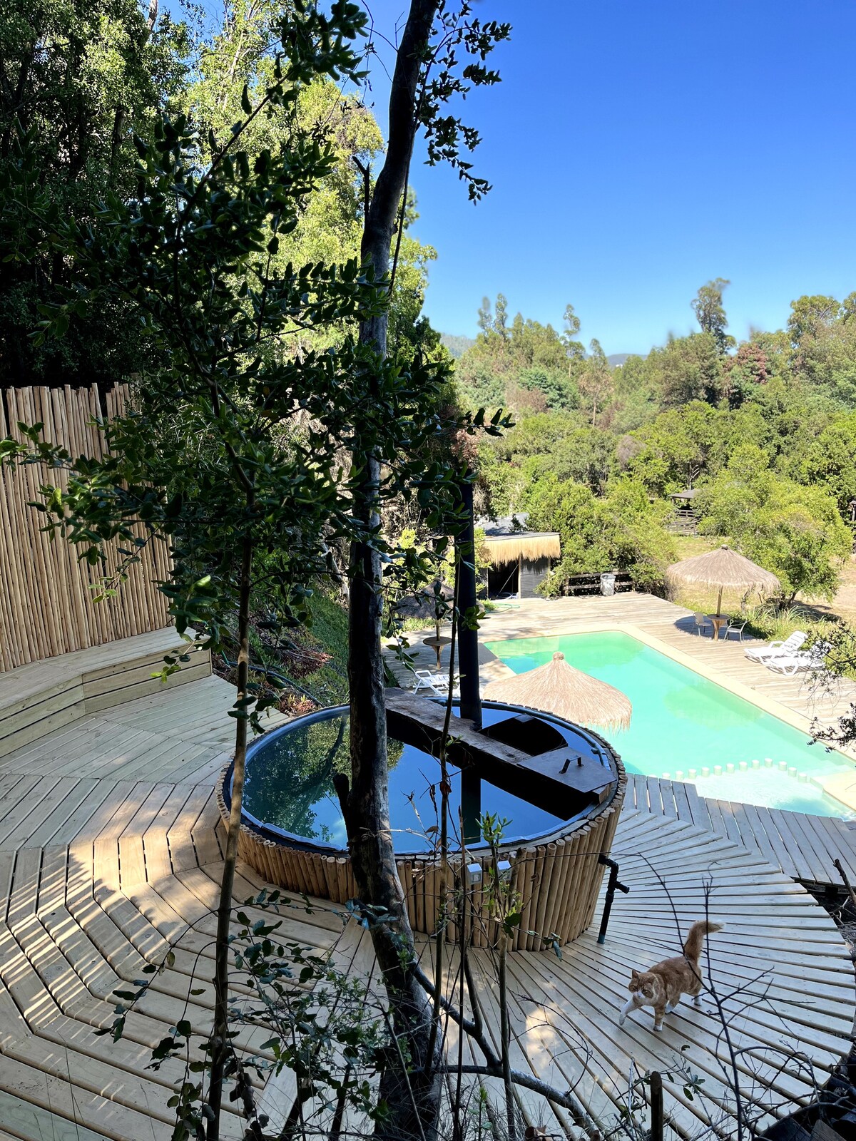 A wooden deck surrounds a circular hot tub, offering a serene view of the pool and natural landscape. Lush green trees provide a sense of privacy, while a sunny sky enhances the inviting atmosphere. A small dog is visible near the deck's edge.
