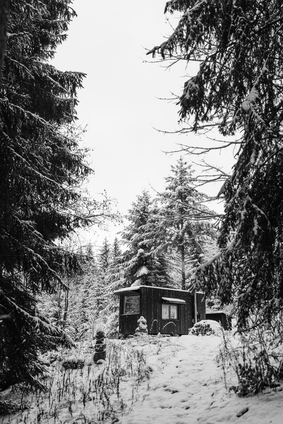 A tiny house is surrounded by tall snow-covered trees, creating a serene winter landscape. The structure features dark wood siding and is partially obscured by the snow-laden branches. A gentle path leads through the snowy ground towards the entrance of the house.