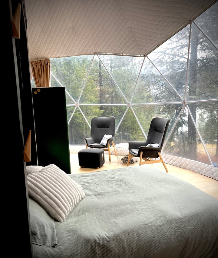 Quarto 1