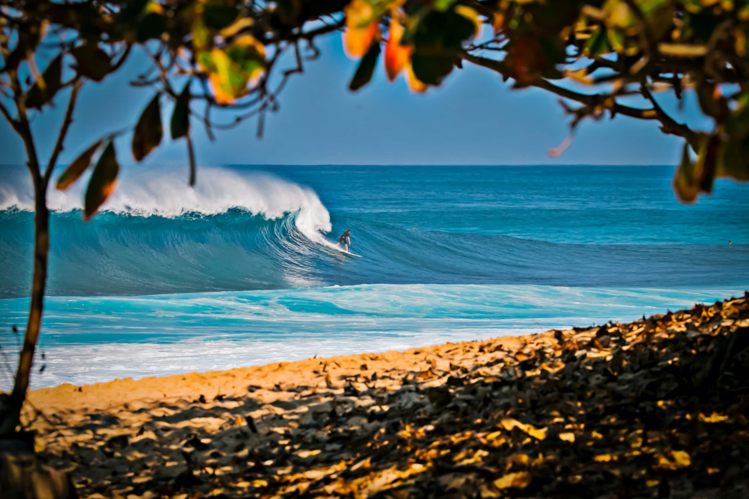 Condo in Honolulu · ★4.93 · Studio · 1 bed · 1 private bath - Image 75