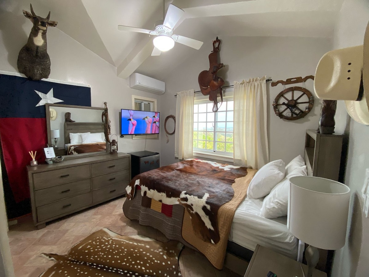 A cozy room is adorned with Texas-themed decor, including mounted items and a large Texas flag. A spacious bed with a plush blanket is positioned near a window, providing natural light. A 40-inch smart TV is mounted on the wall opposite the bed.