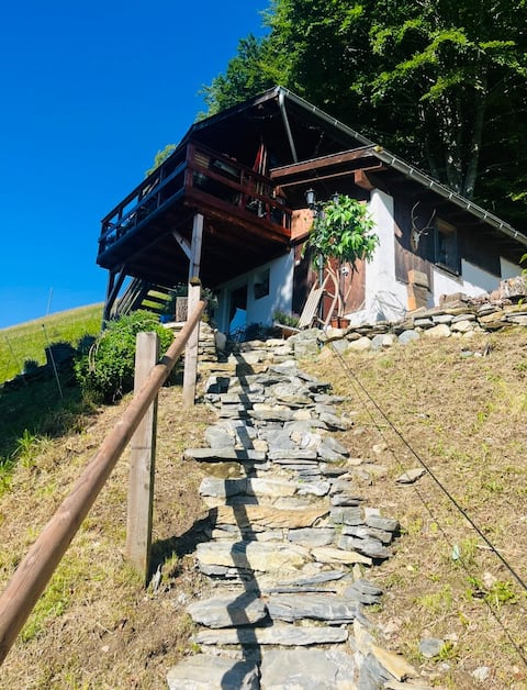 Tiny house surrounded by nature