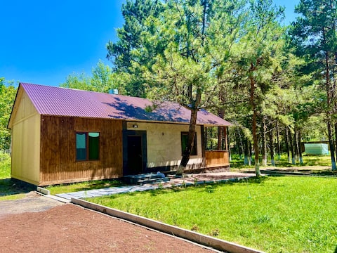 Milenium Villa on Sevan beach 2