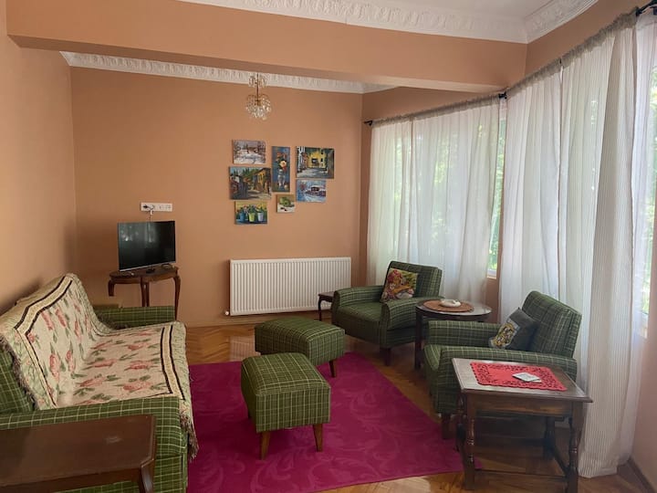 Tarihi Yeşil Mozaik Apartman Dairesi - Islas de los Príncipes