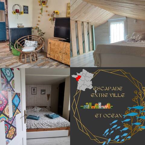 Ideal house for families with kids or groups of friends.