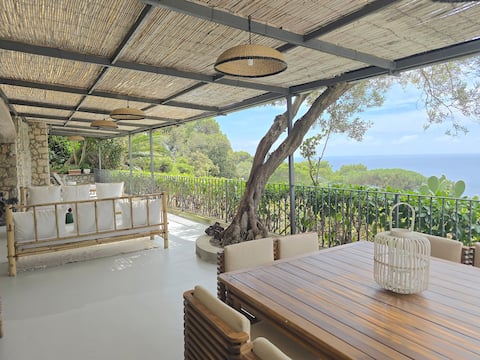 Villa Volare - stunning view in the heart of Capri