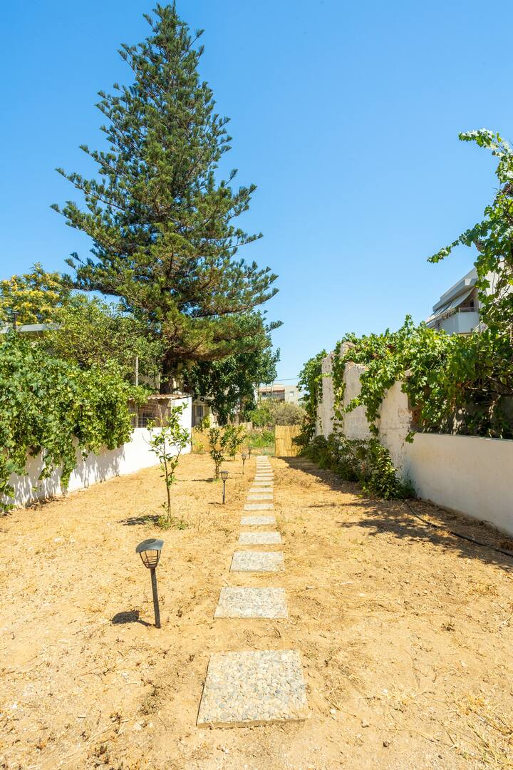 Πίσω αυλή εικόνα 1