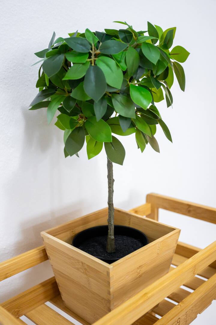 Πλήρης κουζίνα εικόνα 6