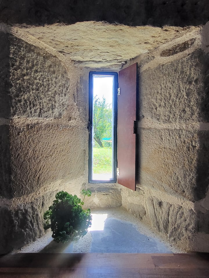 Chez Albert - Beaulieu-sur-Dordogne