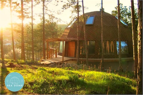The Forest Sea Dome
