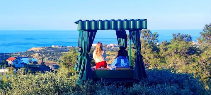 Двуспальная спальня на оливковом дереве. На Кипре считается, что оливковое дерево одаривает особой благодатной энергией людей.