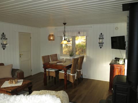 Top performing Airbnb: Small Cottage on beautiful Eikerapen in Åseral