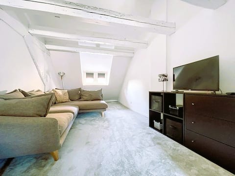Successful Airbnb property: Duplex · Balcony with Cathedral View · Petite France in Strasbourg