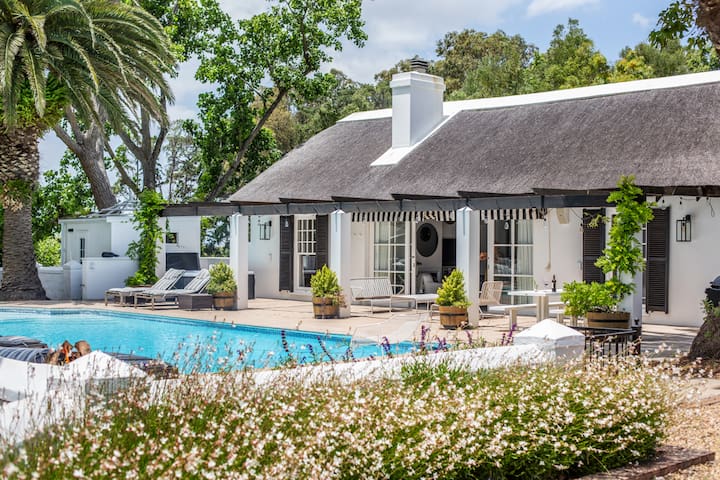 Stylish Cape Dutch vineyard villa in Constantia gallery image 2