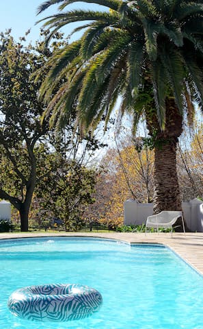 Stylish Cape Dutch vineyard villa in Constantia