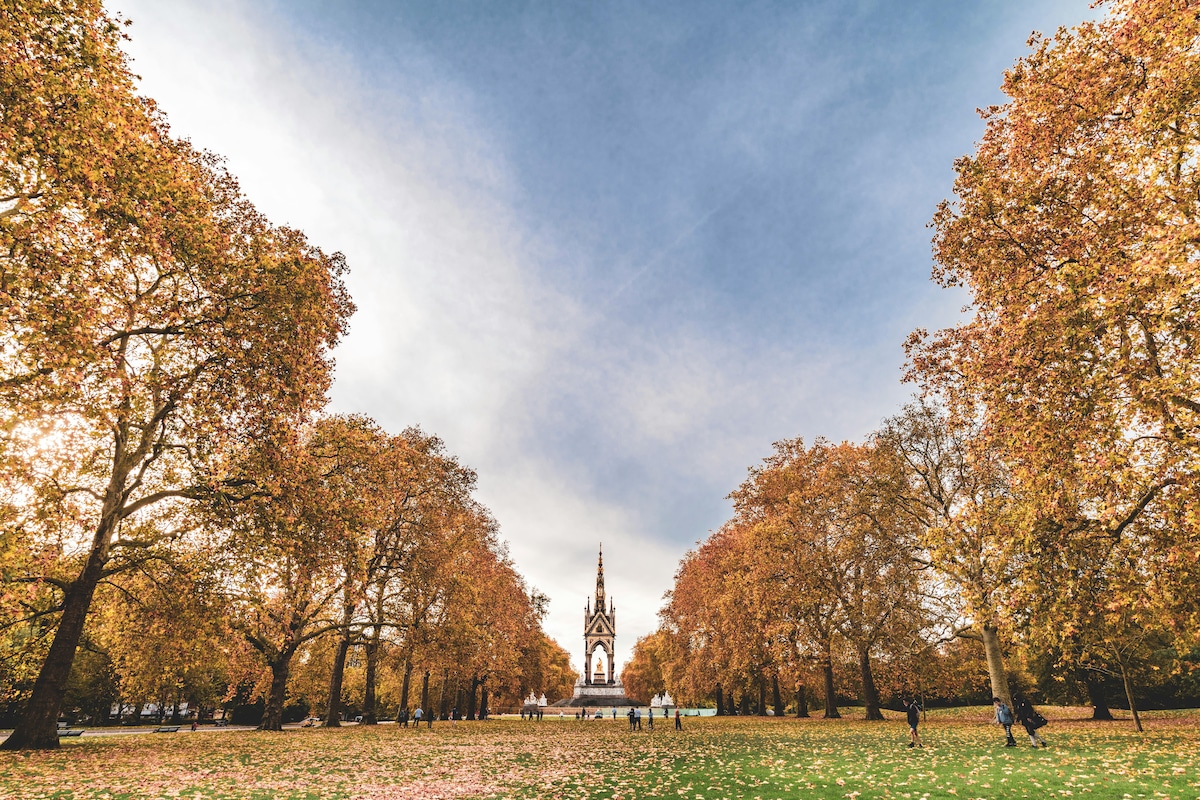 A spacious park landscape is portrayed, with a backdrop of vibrant autumn foliage. Trees with golden leaves frame the scene, leading to a central monument visible in the distance. The ground is covered in fallen leaves, creating a natural carpet of color.
