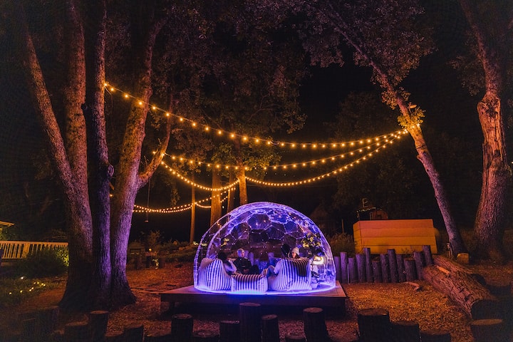 Hidden Forest Castle - Dome, Spa, Sauna, Views - Fish Camp, CA