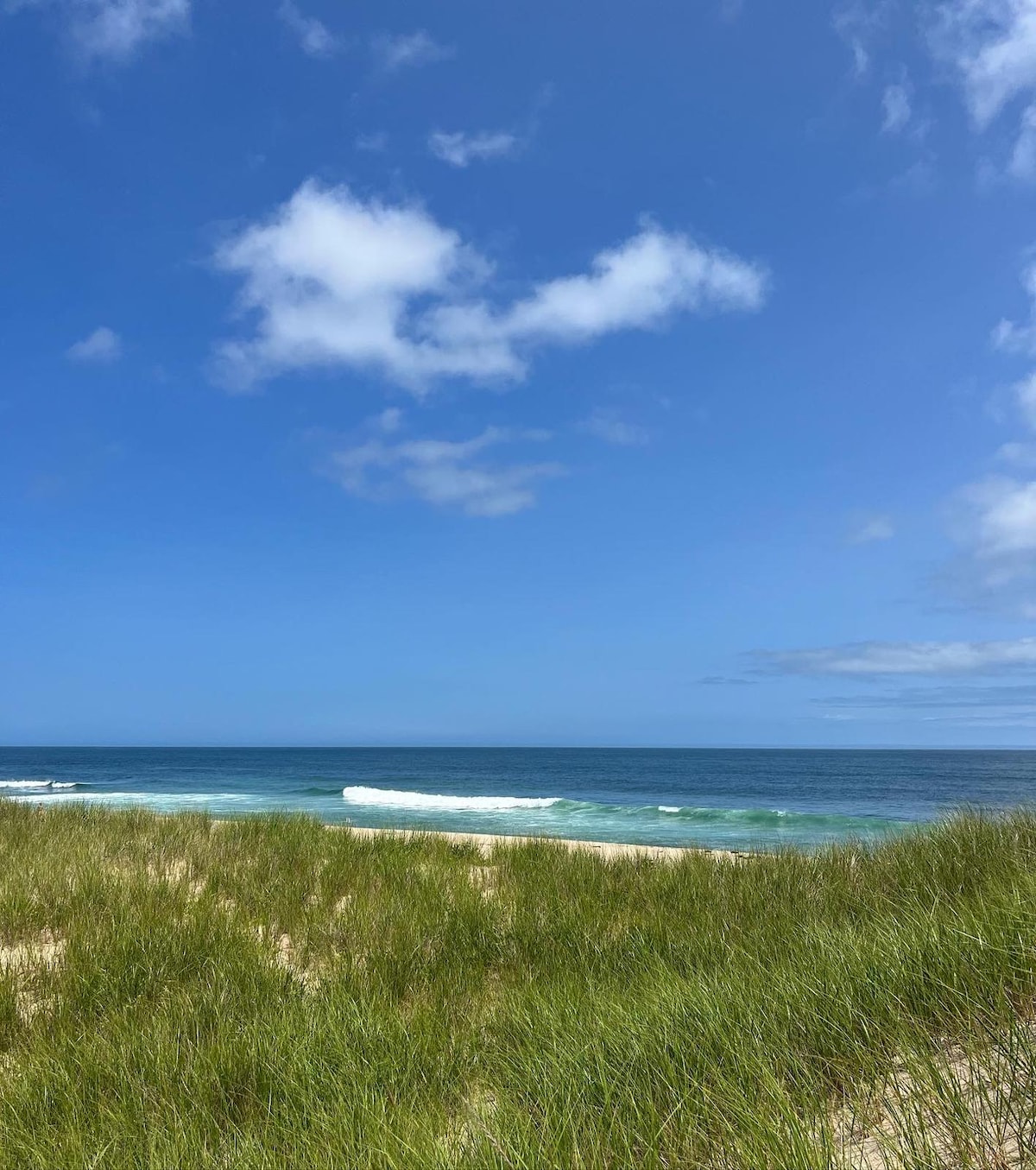 A serene view of the beach showcases rolling waves gently lapping at the shore, framed by soft sand dunes covered in tall green grass. A clear blue sky with scattered white clouds stretches overhead, enhancing the tranquil atmosphere of the coastal landscape.