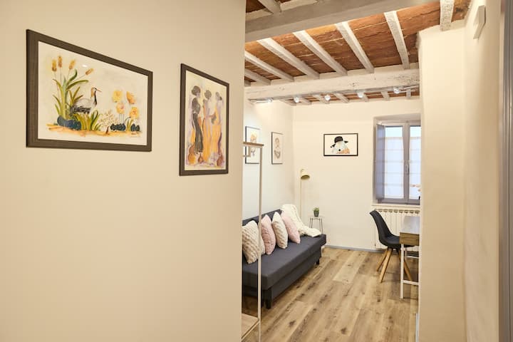 אזור מנוחה או עבודה. מיזוג אוויר, חימום, Wi - Fi.  ספה  שהופכת למיטה זוגית. 