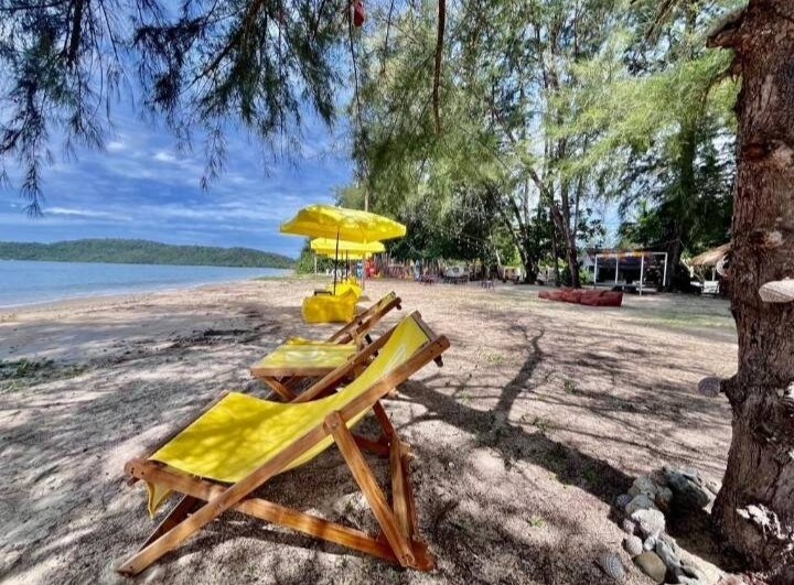 Two vibrant yellow lounge chairs are positioned on a sandy beach, accompanied by matching umbrellas. The serene coastline stretches into the distance, framed by lush green trees. Soft shadows from the trees create a tranquil ambiance, with calm waters visible in the background.