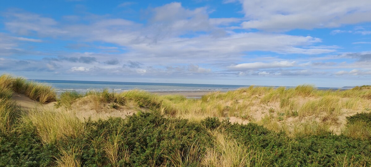 A coastal scene features rolling dunes covered in tall grasses and shrubs. The sea stretches into the distance, reflecting a clear blue sky with scattered clouds. The interplay of elements creates a serene beach environment, inviting relaxation and exploration.