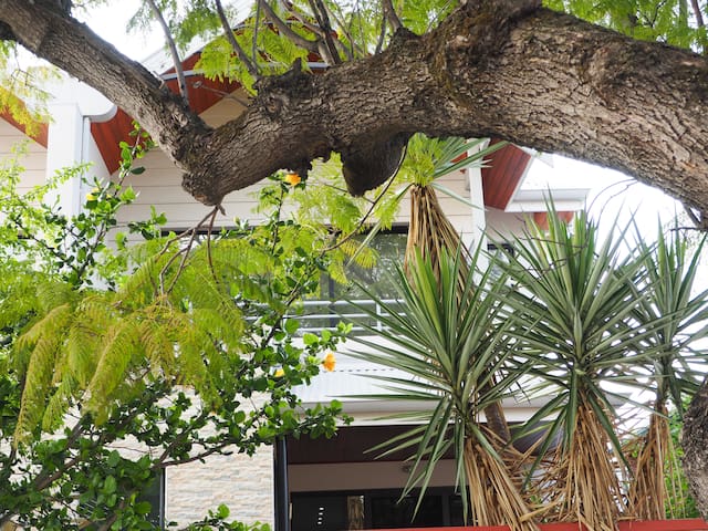 East Perth Town House gallery image 2