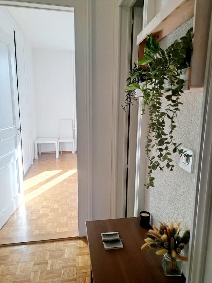 Confortable Appt 1 Chambre - Neuchâtel