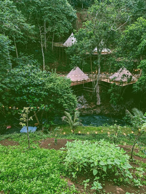 Camping in the forest with Waterfall Views