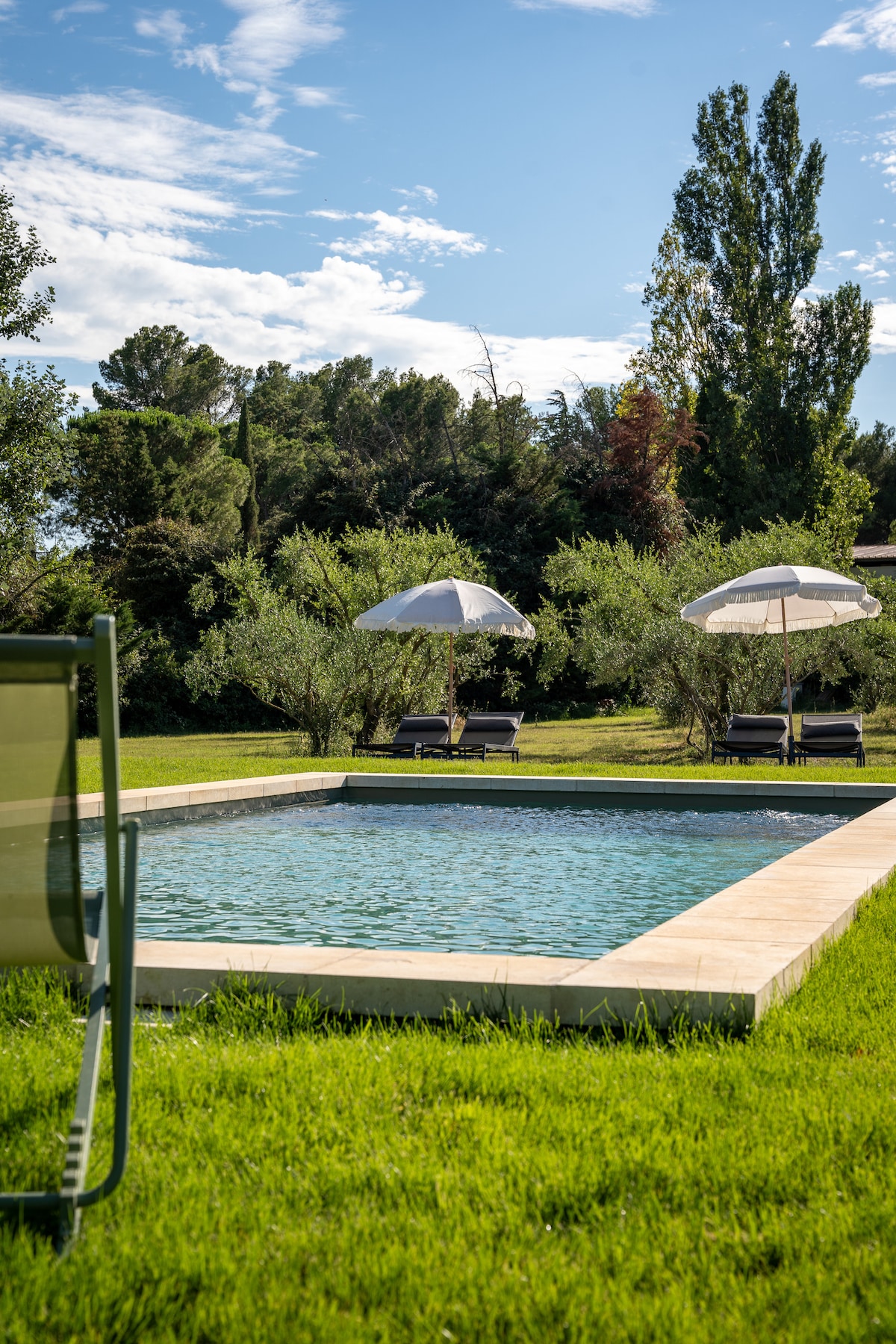 A serene outdoor pool surrounded by lush green grass and olive trees is featured. Two loungers beneath shaded umbrellas are visible alongside the pool, inviting relaxation in the natural setting.