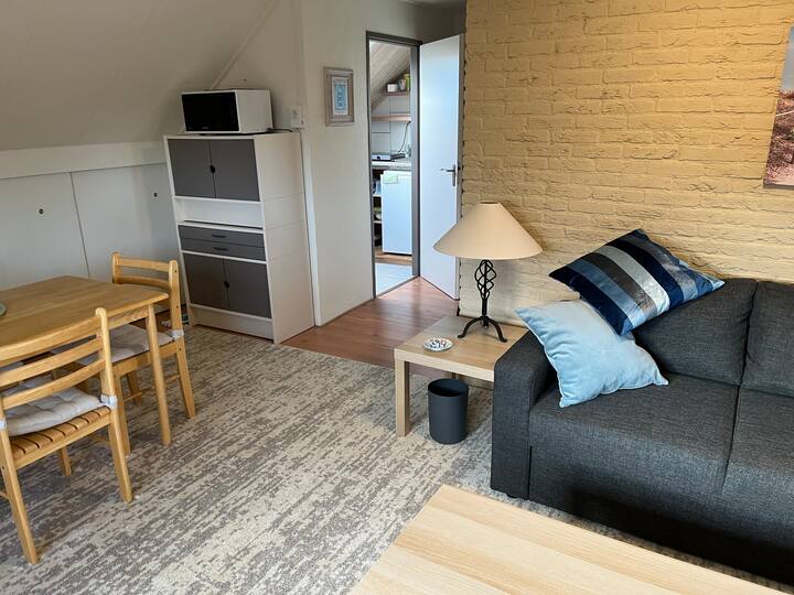 სამზარეულოს ხედი მისაღები ოთახიდან. 