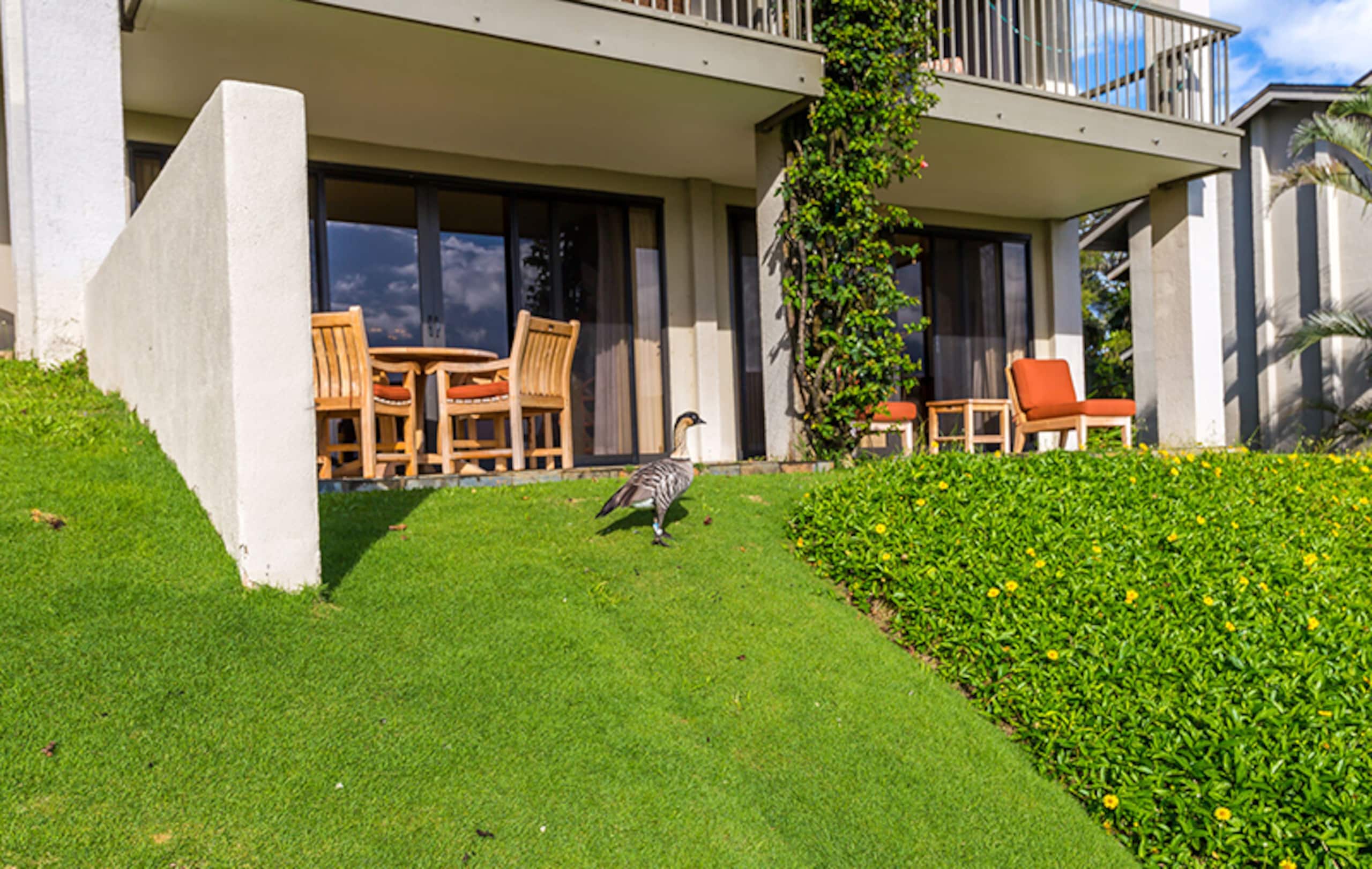 Elegant Ocean View Condo at HBR, A/C Included - Image 15