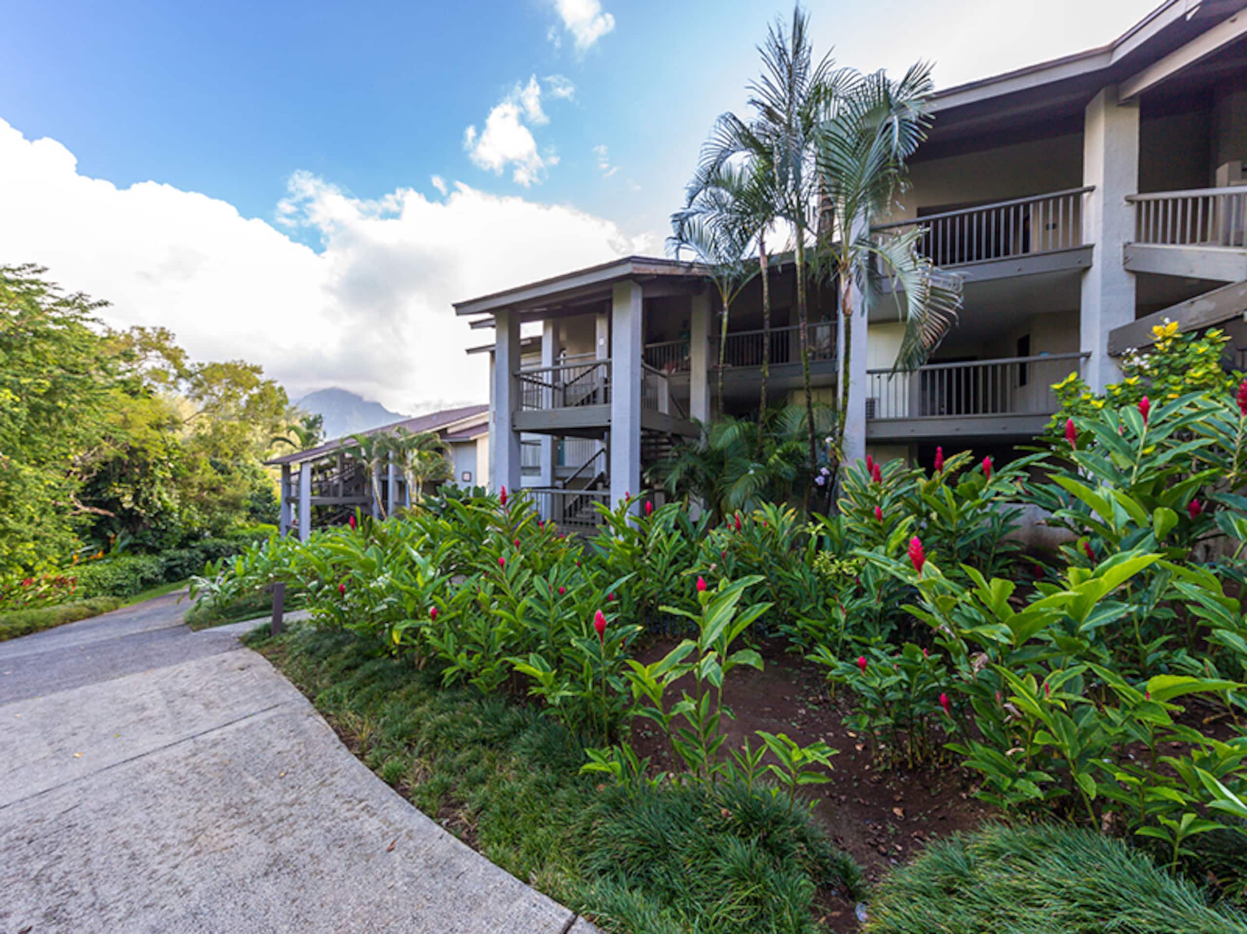Elegant Ocean View Condo at HBR, A/C Included - Image 20