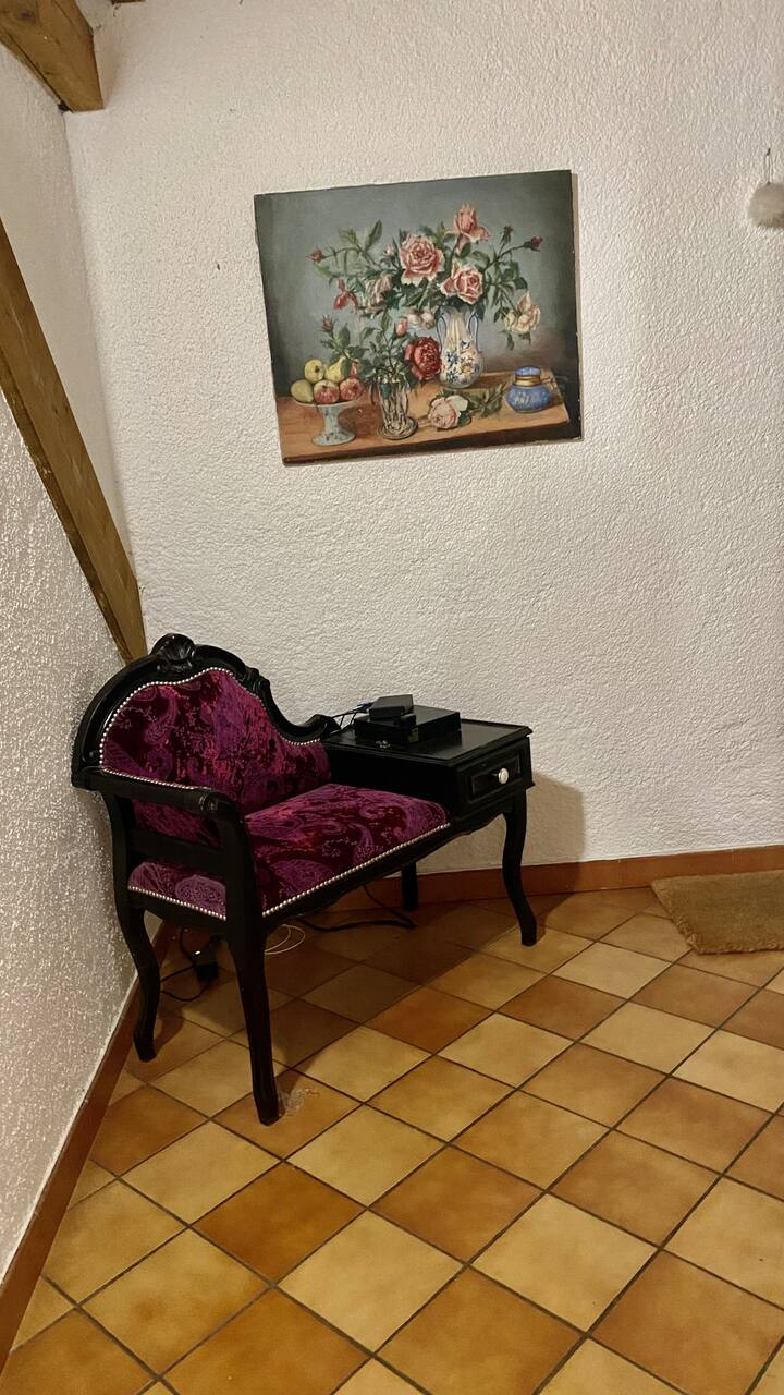 Gîtes De Ruffié: Barguillère - Foix