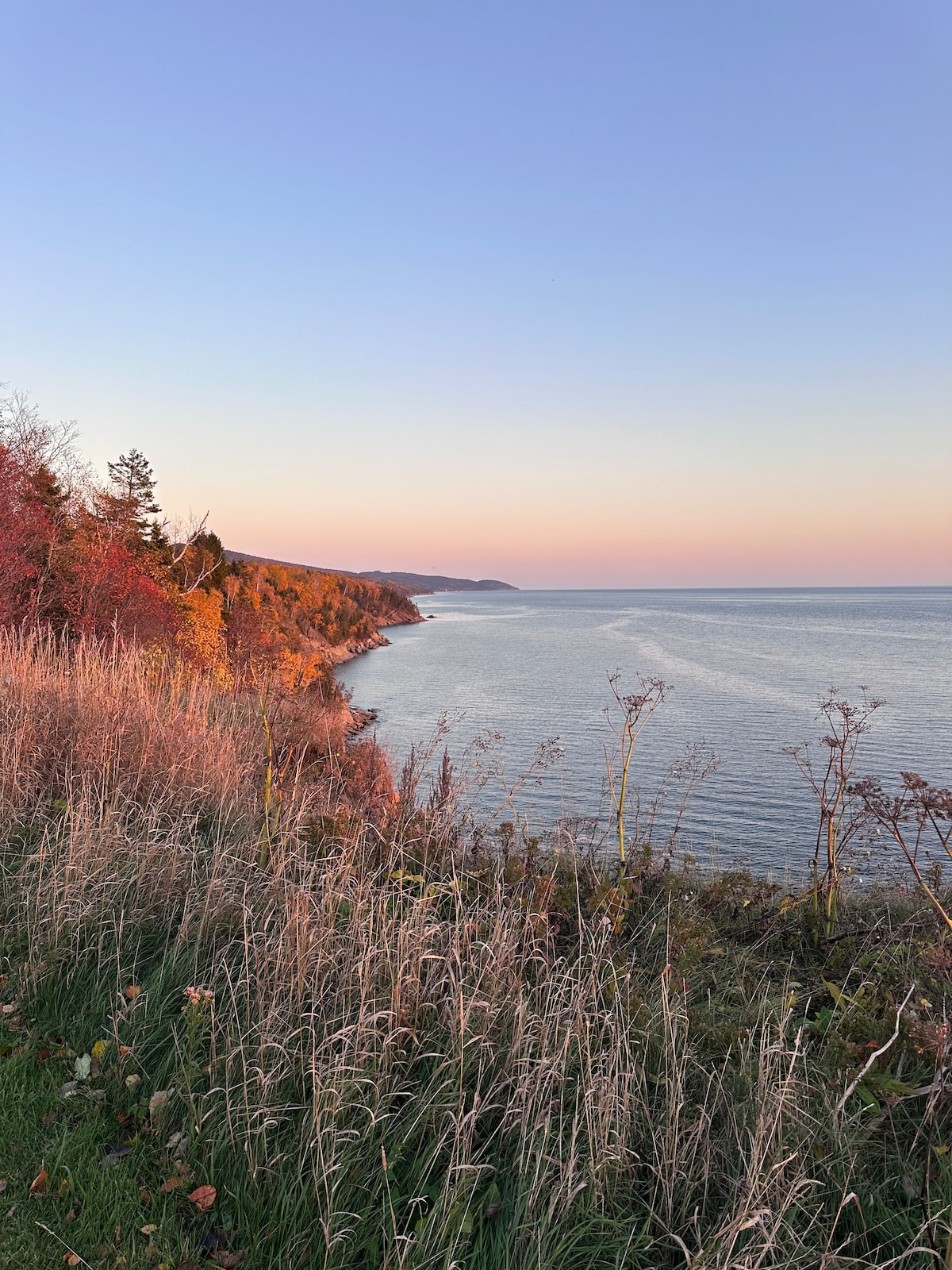 A tranquil view of a coastline is captured at sunset, featuring gentle waves lapping at the shore. Trees line the edge, showcasing autumn hues, while tall grasses sway in the foreground. The horizon displays a soft gradient of colors as day transitions to night.