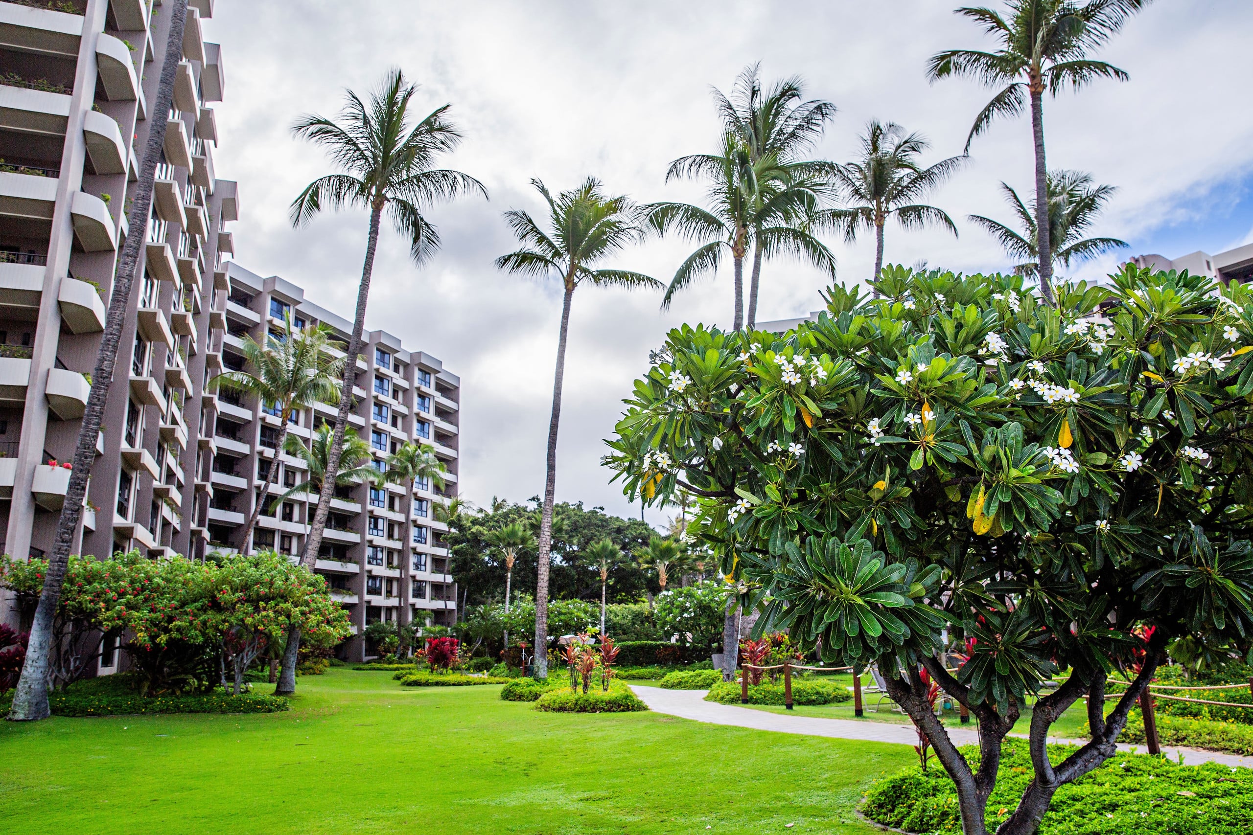 Condo in Lahaina · ★4.96 · 2 bedrooms · 4 beds · 2 private baths - Image 52