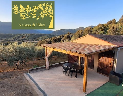 House in the heart of an olive grove
