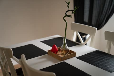 Modern city apartment with PS4, Netflix & more!