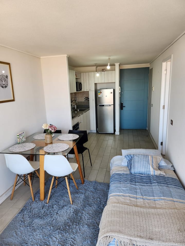 Lindo Apartamento En Centro Histórico - Santiago