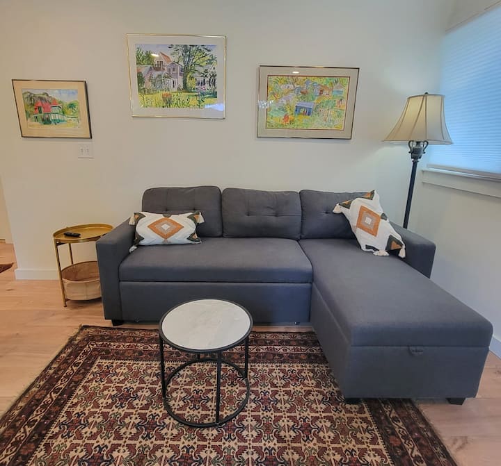 أريكة غرفة المعيشة تتحول إلى سرير مزدوج للضيوف الإضافيين.