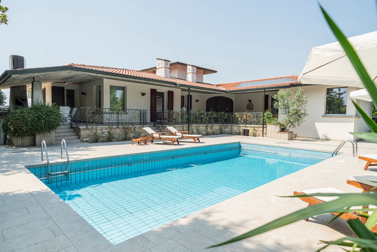 An outdoor area showcases a blue tiled swimming pool surrounded by sun loungers. The villa features a combination of shaded and sunny spaces, with greenery lining the perimeter. The structure showcases a covered terrace, blending seamlessly with the inviting environment.