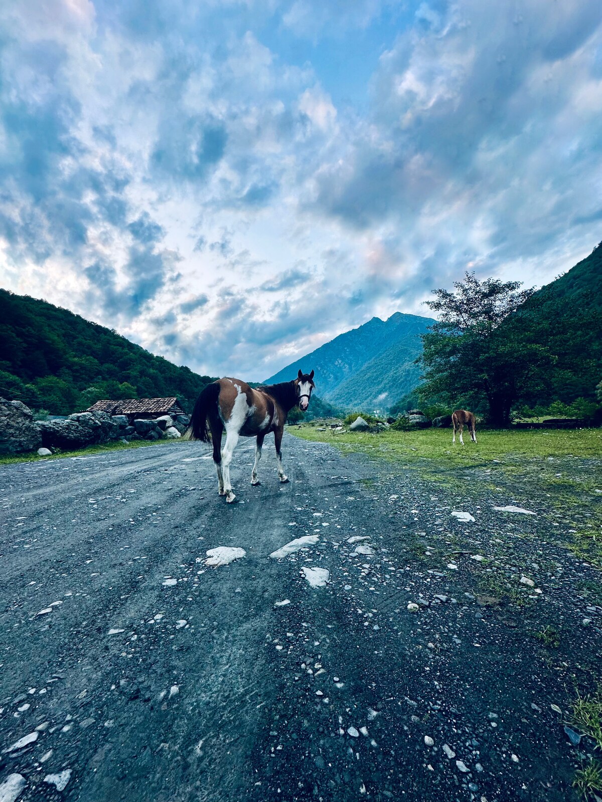 A horse stands on a gravel path surrounded by lush greenery and rolling mountains under a cloudy sky. The horse, with a brown and white coat, faces the viewer, while another horse grazes in the distance, set against the serene landscape.