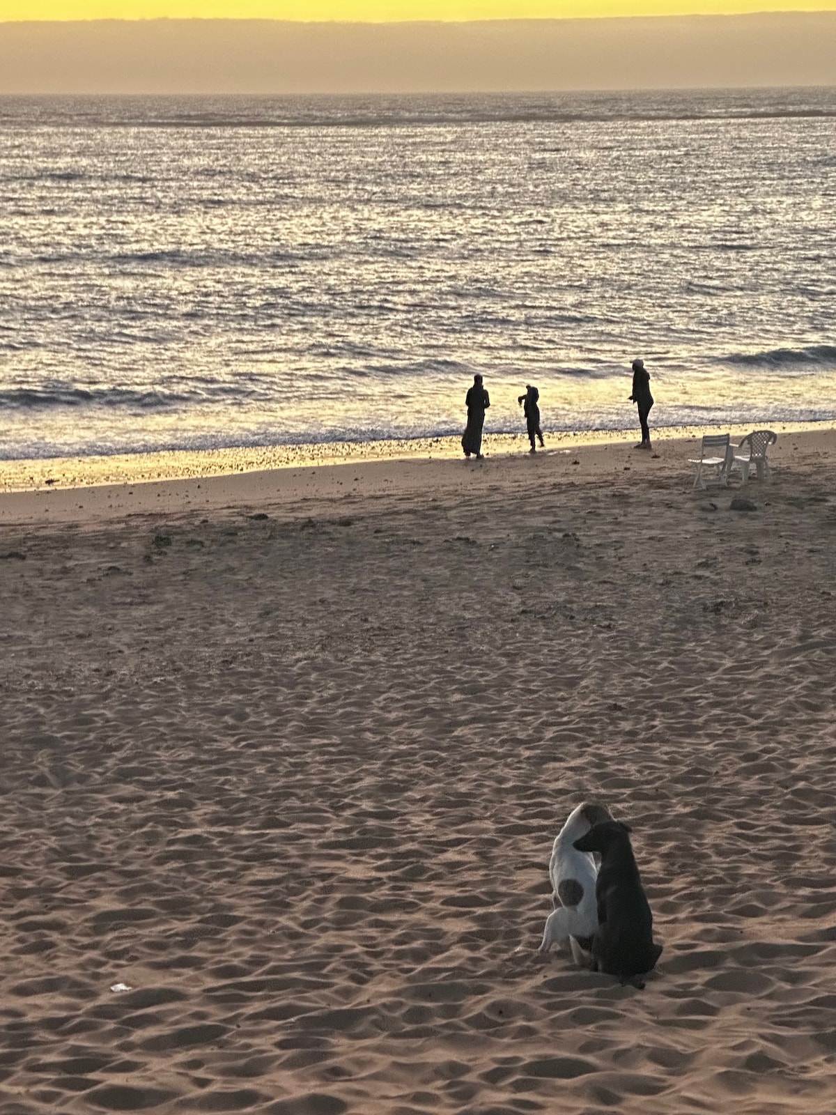The sandy beach is illuminated by a warm sunset, casting golden hues across the water. Silhouettes of four people can be seen walking along the shore, while a dog sits nearby on the sand, creating a serene coastal atmosphere.