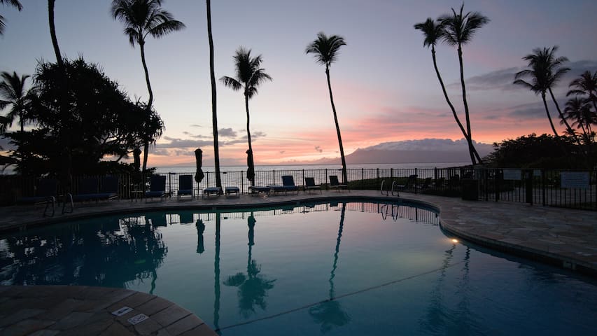 Ocean Views | Polo Beach Club | Groundfloor Condo gallery image 2