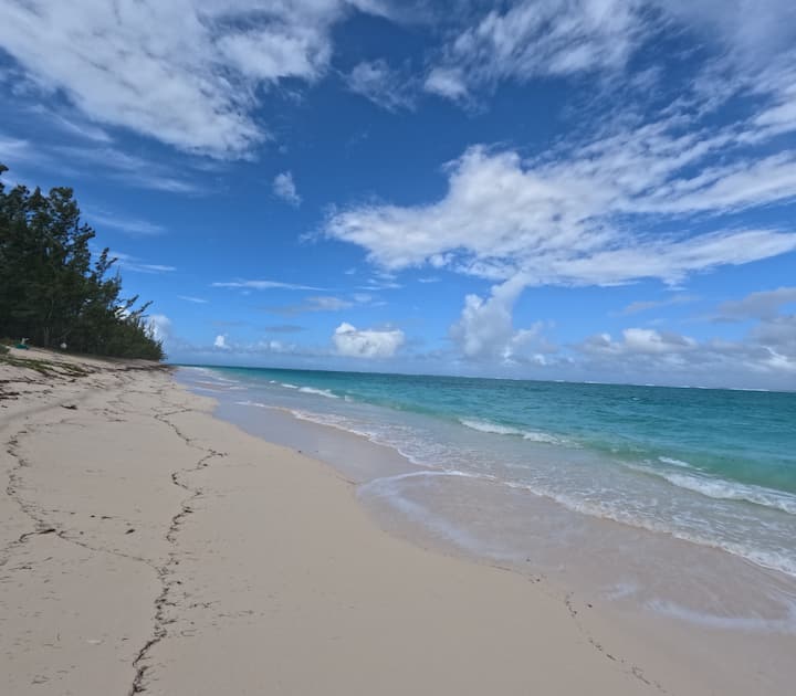 Bliss At Ocean Beach Condo - Beach Front - Turks e Caicos