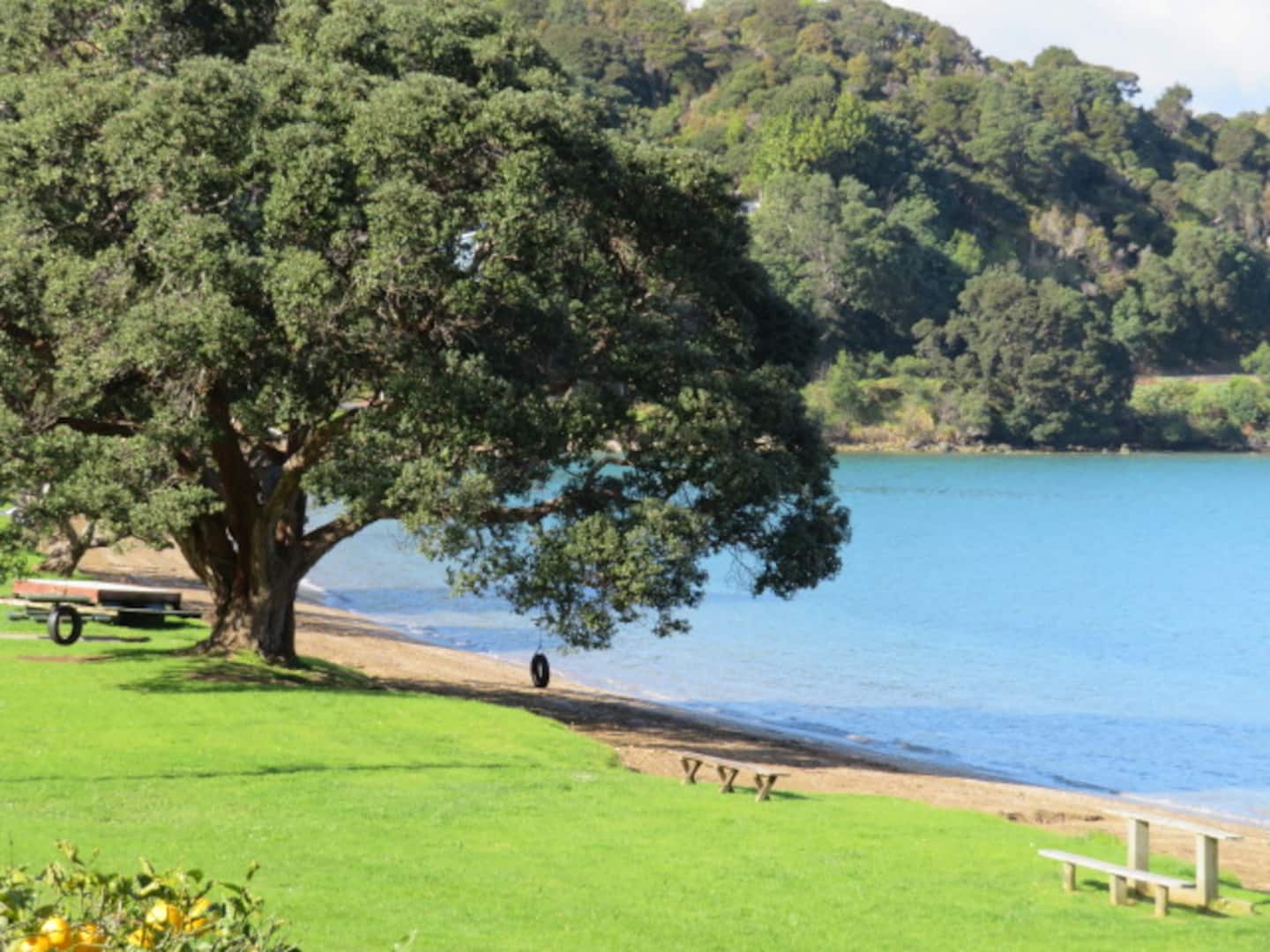 The Green House - Oamaru Bay 3