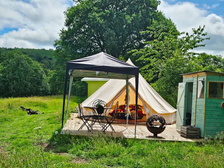 The Honey Bee Tent - Shropshire