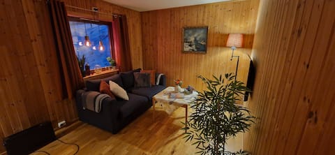 Successful Airbnb property: Cozy house in spectacular Lyngen in Troms