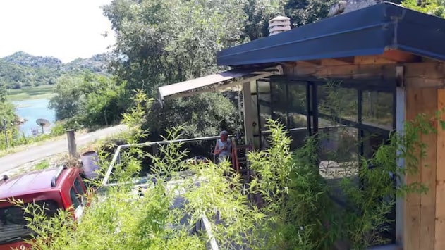 The image captures a view of the artist's studio, featuring a modern design with large glass windows and a covered terrace. Lush bamboo plants frame the space, while a glimpse of Skadar Lake and the surrounding greenery is visible in the background.