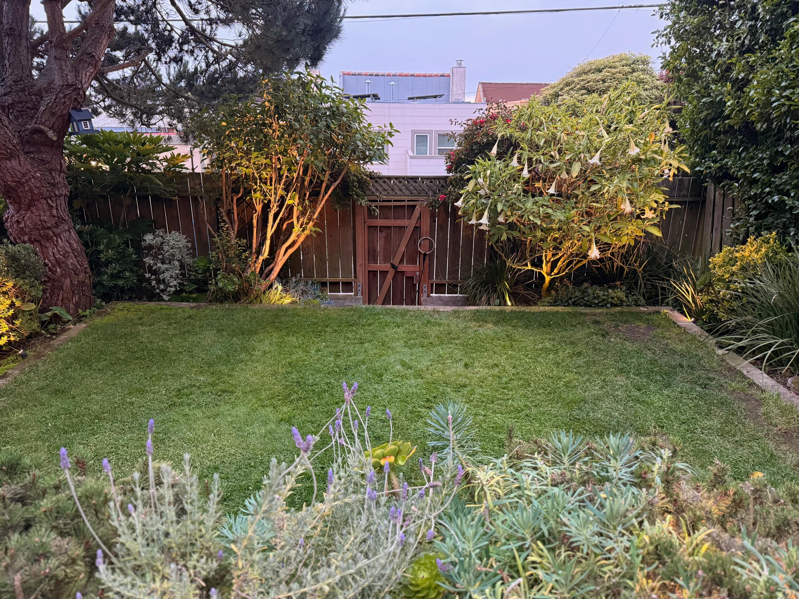 The Aerie: Golden Gate Heights - Image 24