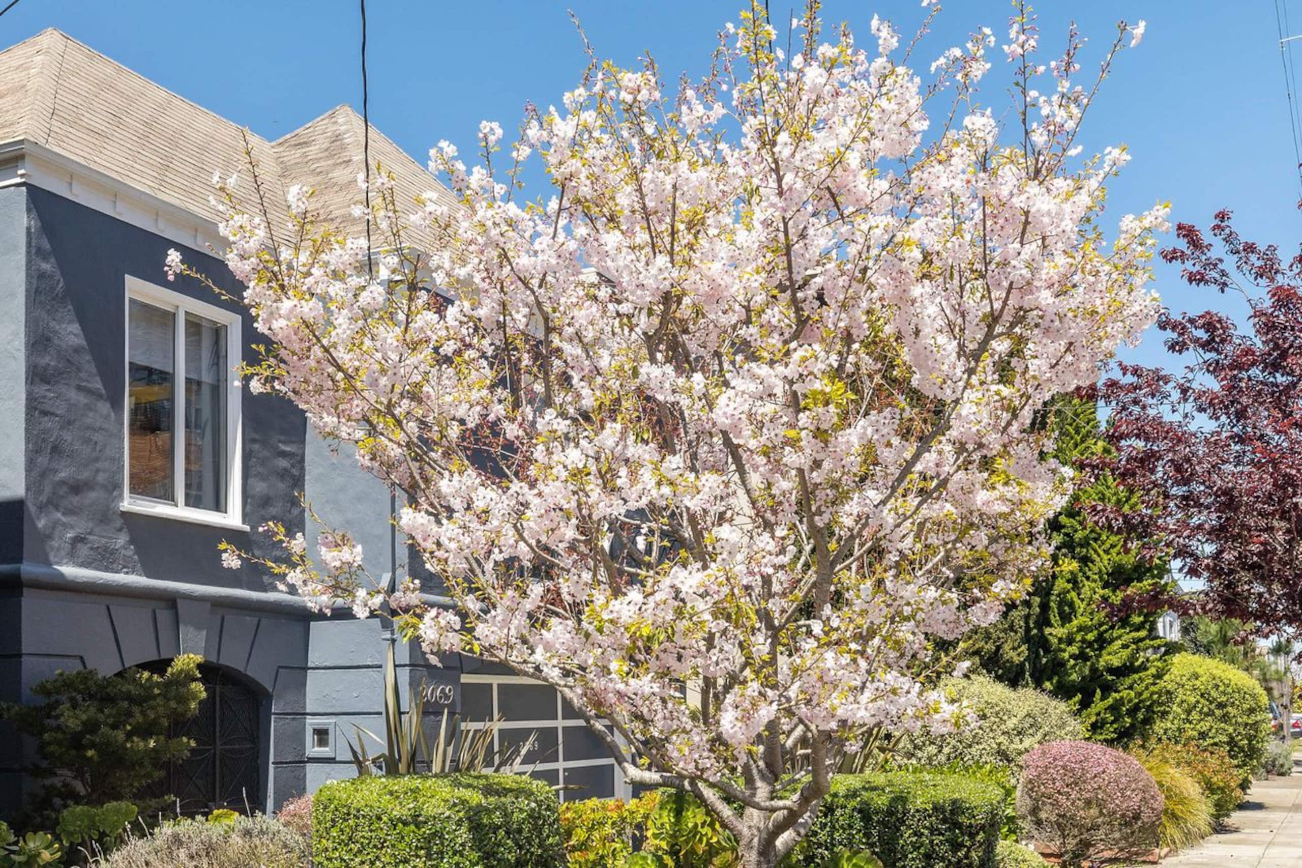 The Aerie: Golden Gate Heights - Image 30